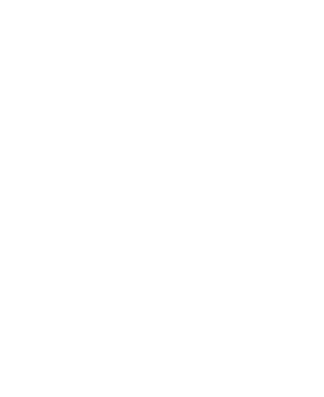 Element_Point-blanc